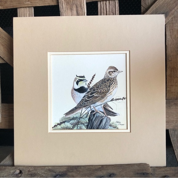 Original Arthur B. Singer (1917-1990) Horned Lark and Skylark - Picture 1 of 8